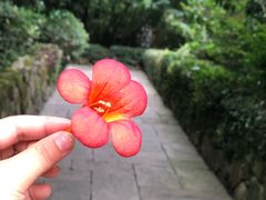 -三嚥阁 La Villa Restaurant