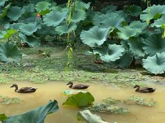 -浙江农林大学(东湖校区)