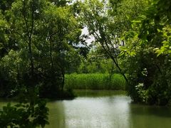 -西溪国家湿地公园