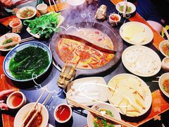 -蜀大侠火锅(建设路第五大道店)