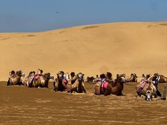 -银肯塔拉沙漠生态旅游景区