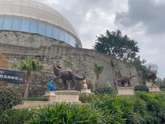 -自贡恐龙博物馆