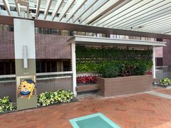 -香港大学