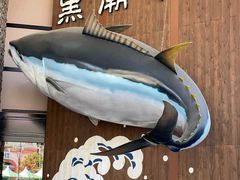 -黑潮市场