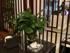 -香悦荟·足道·推拿·SPA