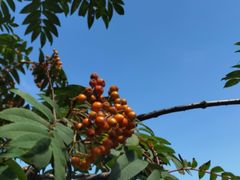 -白草畔自然风景区