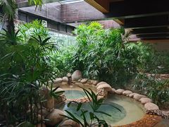 -三江森林温泉度假区