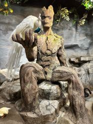 -Zoolung Zoolung动物主题公园(海信广场店)