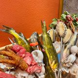 春天到来山茶花开🍃好配辣辣的火锅串串‼️