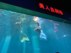 -福州罗源湾海洋世界旅游区