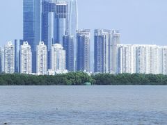 -深圳湾公园(南山区)
