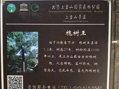-北京上方山国家森林公园