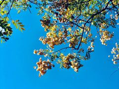 -杭州城北体育公园