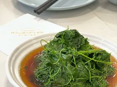 -海金滋(陕西南路店)