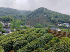 -十里琅珰