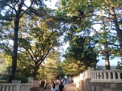-八大关景区