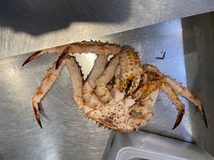 -T11生鲜超市(朝阳公园店)