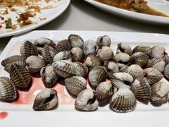 -华盛丰温州大排档(东三环南路店)