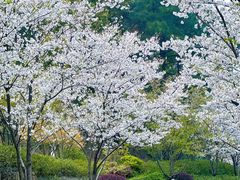 -临平公园(临平街道)