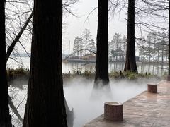 -东湖生态旅游风景区