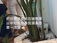 -Line 咖啡(石厦花园店)