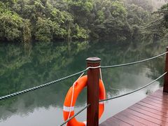 -鼎湖山风景区