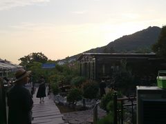 -蘇河湾·新鲁菜·泰山宴(泰山店)