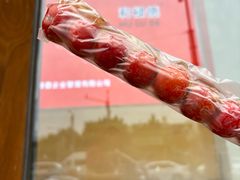 -和禄德冰糖葫芦(东四朝内菜市场店)