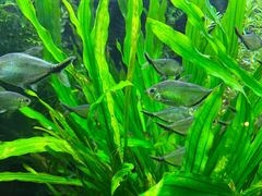 -上海海洋水族馆