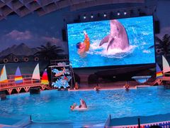 -海合安武汉极地海洋公园