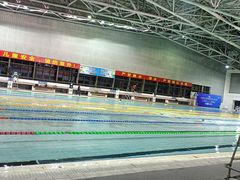 -奥林匹克体育中心游泳馆