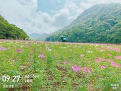 -广州市石门国家森林公园