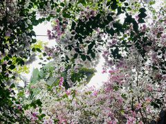 -深圳国际园林花卉博览园