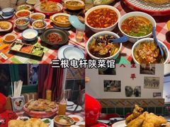 -陕西自然博物馆