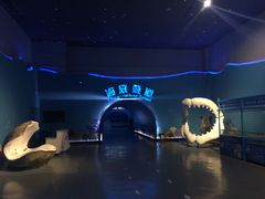 -泉城欧乐堡海洋极地世界