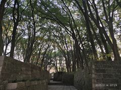 -上海方塔园