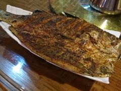 -西域阿里马新疆菜·清真(桂花路店)