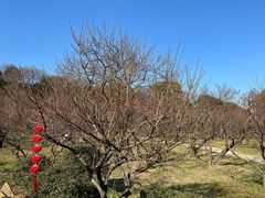 -无锡梅园公园