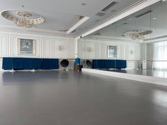 -芭蕾仙子 FairyBallet 少儿芭蕾舞蹈中心(丽都旗舰店)