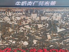 -瑞穗牧场