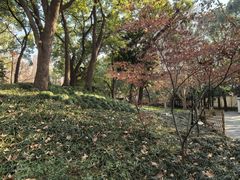 -徐家汇源景区-衡山公园