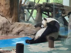 -成都动物园