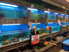 水产区-王庄阿咪海鲜大排档(象园店)