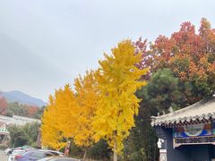 -红螺寺
