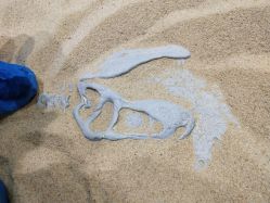 -恐龙探索乐园(磁器口店)