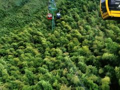 -镇江市南山风景名胜区竹林景区