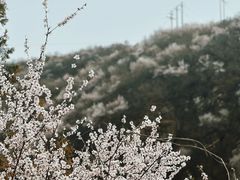 -妙峰山风景名胜区