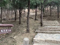 -鬼笑石后山停车场