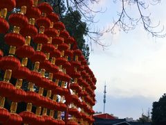-无锡梅园公园