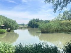 -沙家浜风景区